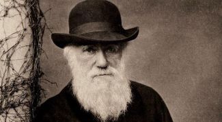 Что открыл Чарльз Дарвин