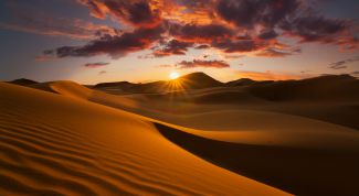 11 интересных фактов о пустынях