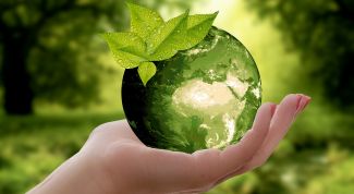12 простых способов стать экологичнее
