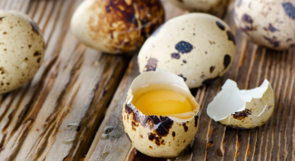 В чем польза перепелиных яиц 