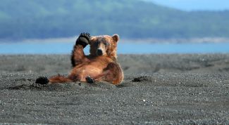 Peace, чуваки!