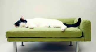 Все с комфортом