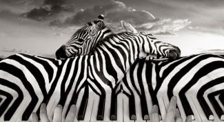 Клавишный сюр