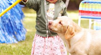 Забота о ближнем