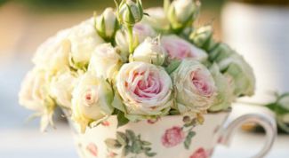 Вместо вазы