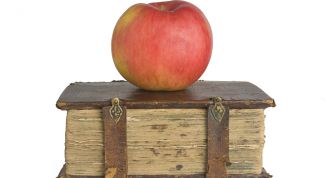 Картинка по теме - как работает закон притяжения