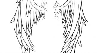 Картинка по теме - как сделать крылья к костюму