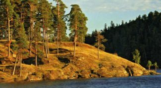 Картинка по теме - как рассчитать земельный налог