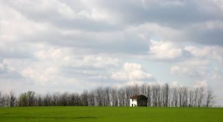 Картинка по теме - как получить бесплатную землю