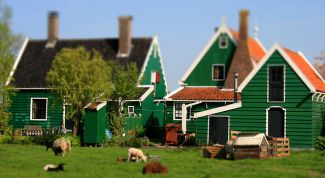 Картинка по теме - как сделать дом