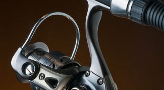 Картинка по теме - как выбрать удочку