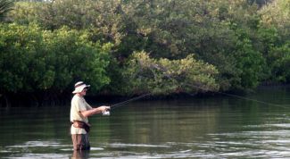 Картинка по теме - как ловить леща