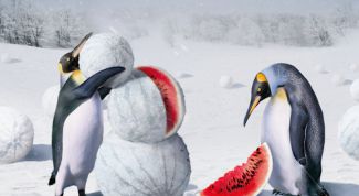 Картинка по теме - как сделать снежную бабу