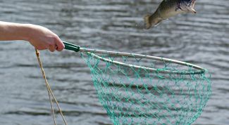 Картинка по теме - как ставить сети