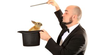 Картинка по теме - как научиться фокусам на дому