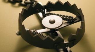 Картинка по теме - как ставить капкан