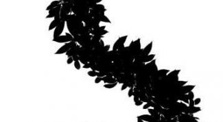 Картинка по теме - как повернуть кисть в фотошопе