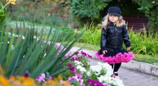 Картинка по теме - как сшить юбку-американку