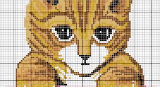 Картинка по теме - как сделать схему