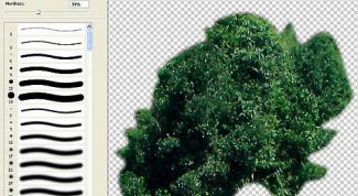 Картинка по теме - как вырезать фото в фотошопе