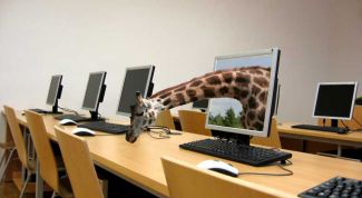 Картинка по теме - как играть в интернет игры