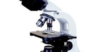 Картинка по теме - как сделать микроскоп