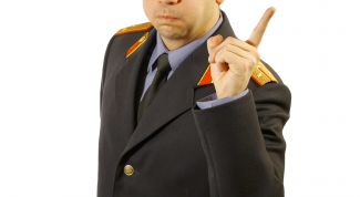 Картинка по теме - как разговаривать с гаишниками