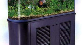 Картинка по теме - как менять воду в аквариуме