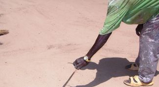 Картинка по теме - как избавиться от крыс