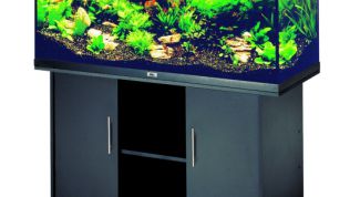 Картинка по теме - как сделать аквариум своими руками