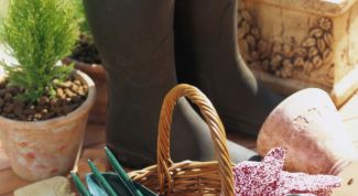 Картинка по теме - как украсить участок