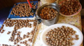 Картинка по теме - как хранить орехи