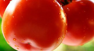 Картинка по теме - как вырастить томаты