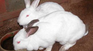 Картинка по теме - как сделать ферму