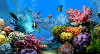 Картинка по теме - как отключить заставку