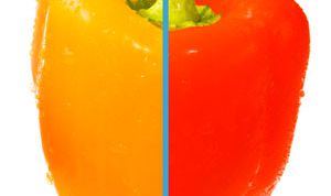 Картинка по теме - как изменить цвет в фотошопе