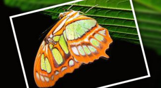 Картинка по теме - как сделать картинку в фотошопе