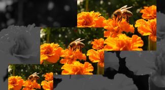 Картинка по теме - как увеличить изображение в фотошопе