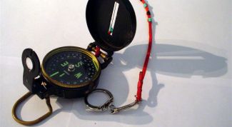 Картинка по теме - как определить стороны света без компаса
