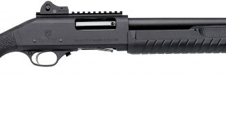 Картинка по теме - как стрелять из ружья