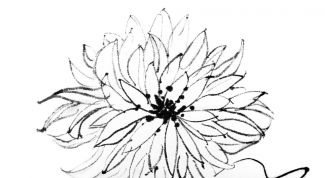 Картинка по теме - как рисовать цветы карандашом
