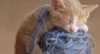 Картинка по теме - как связать шнурок