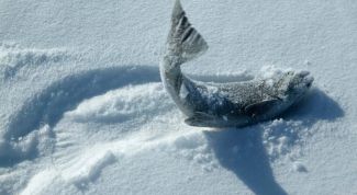 Картинка по теме - как ставить сети под лёд?