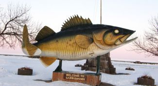 Картинка по теме - как ловить щуку зимой