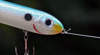 Картинка по теме - как вязать леску