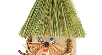 Картинка по теме - как сделать костюм лешего