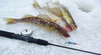 Картинка по теме - как оснастить зимнюю удочку