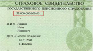 Картинка по теме - как узнать свой пенсионный номер