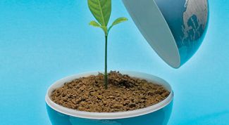 Картинка по теме - как спасти мир