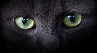 Картинка по теме - как определить сглаз самостоятельно